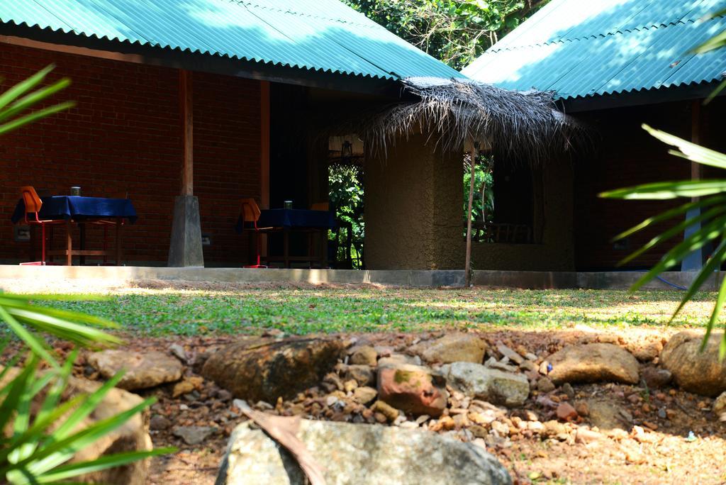 Jungle Beach Hostel Unawatuna Exteriér fotografie