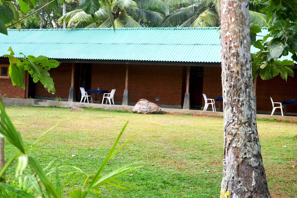 Jungle Beach Hostel Unawatuna Exteriér fotografie